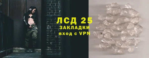 PSILOCYBIN Волосово