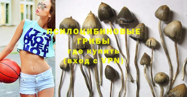 прущий лед Вязники