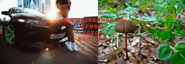 мдма Приозерск