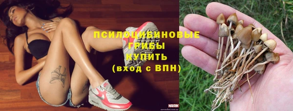 PSILOCYBIN Волосово